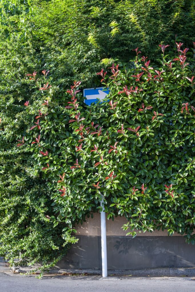 一方通行の標識