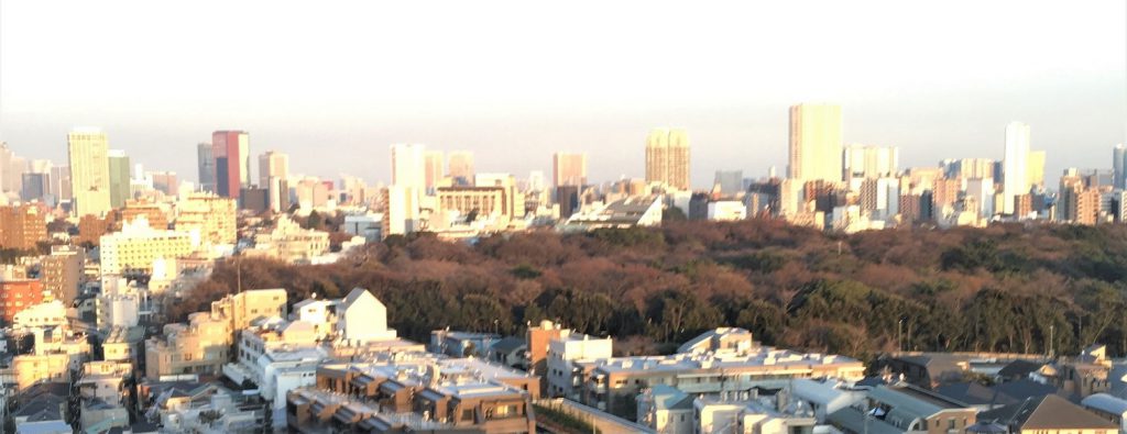 恵比寿ビュータワーの眺望